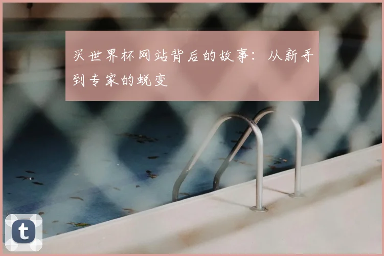 买世界杯网站背后的故事：从新手到专家的蜕变