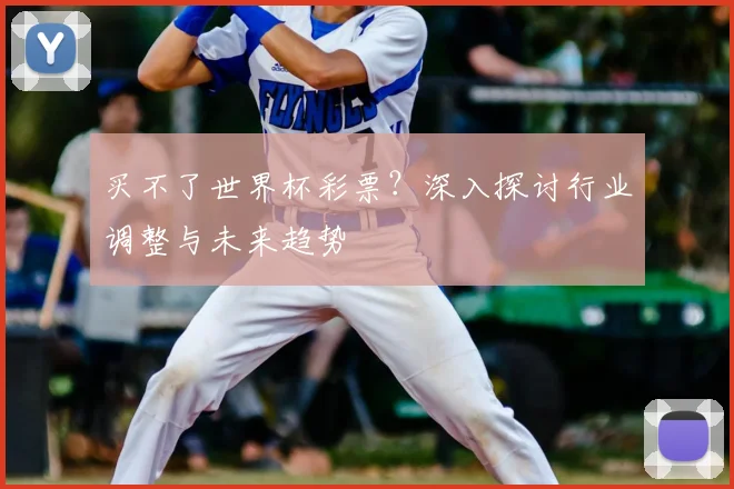 买不了世界杯彩票？深入探讨行业调整与未来趋势