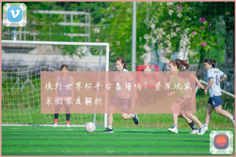境外世界杯平台靠谱吗？资深玩家亲测深度解析