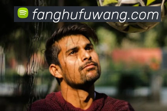 emc官网体育平台生态图